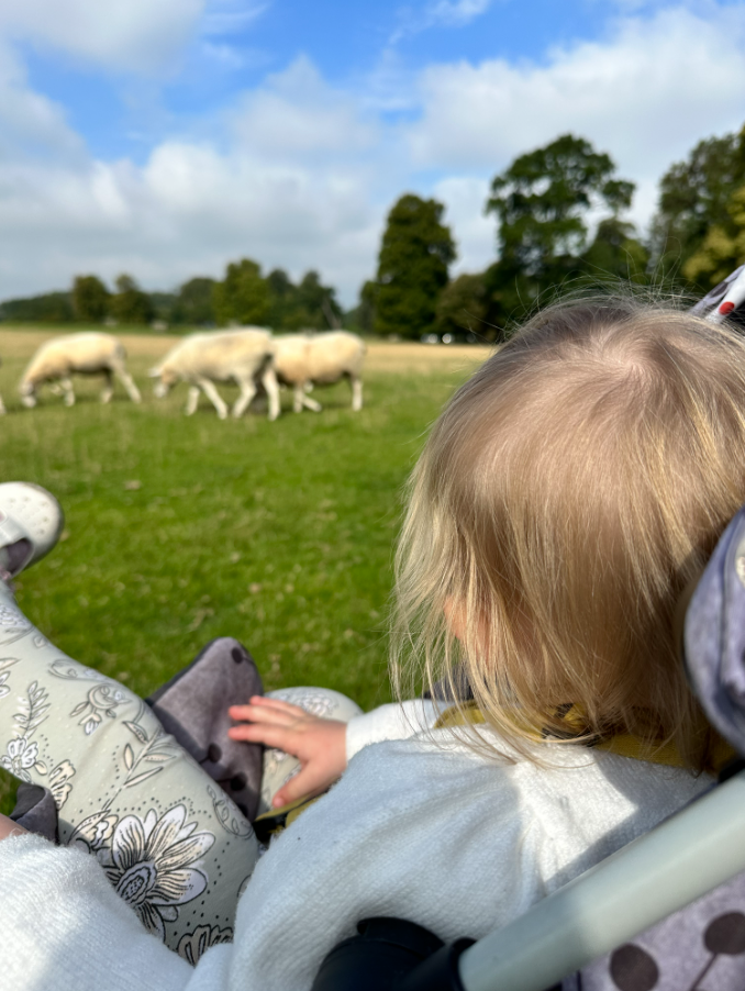 Screenshot 2025-09-15 194115