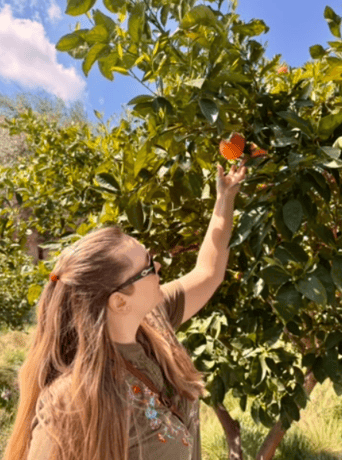 Screenshot 2025-09-15 195305