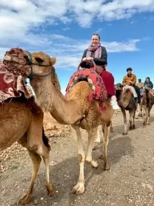 a71fb96c0c654a478a65d3976c5cf2aa