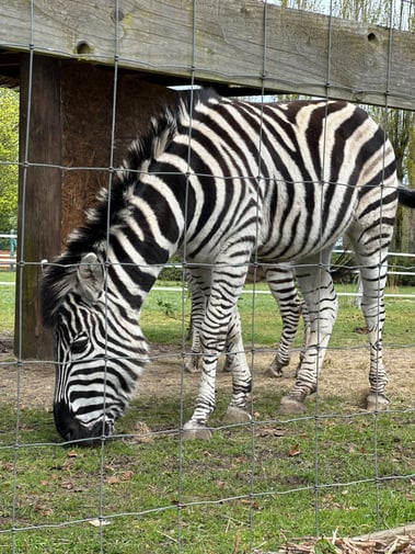 whatsappimage20240926at143401_ca1fcb1f_1727363599355